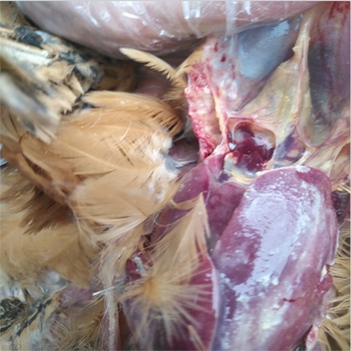 河南榮盛科技集團工程項目部2022年春節團拜會圓滿舉行