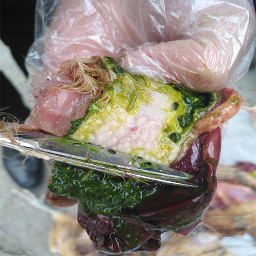 河南榮盛科技集團工程項目部2022年春節團拜會圓滿舉行